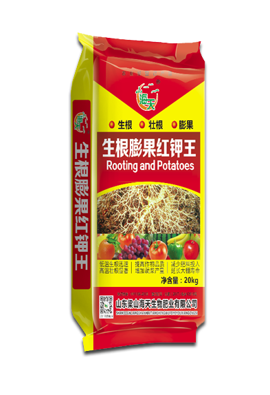 生根膨果红钾王